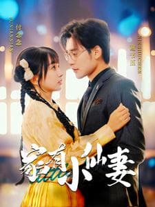 家有小仙妻 - 女频恋爱 (2025) 海报