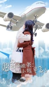 报告慕机长叶小姐单飞了 - 女频恋爱 (2025) 海报