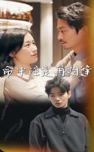 命中注定再相逢 - 女频恋爱 (2025) 海报