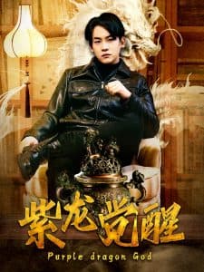 紫龙觉醒 - 反转爽剧 (2025) 海报