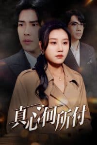 真心何所付 - 现代都市 (2025) 海报