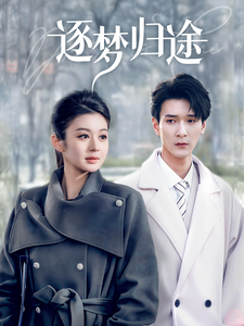 逐梦归途 - 现代都市 (2025) 海报