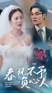春风不予负心人 - 现代都市 (2025) 海报