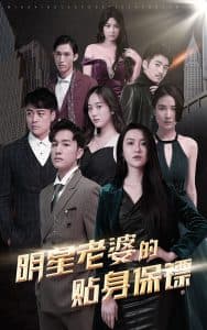 明星老婆的贴身保镖 - 现代都市 (2025) 海报