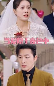 当爱隐于夜色中 - 女频恋爱 (2025) 海报