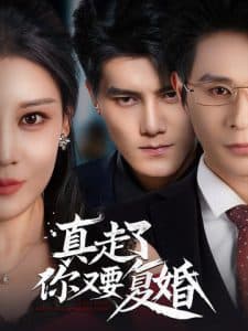真走了你又要复婚 - 反转爽剧 (2025) 海报