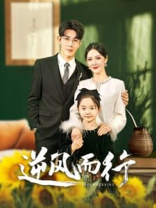 逆风而行 - 现代都市 (2025) 海报