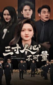 三寸人心不可量 - 现代都市 (2025) 海报