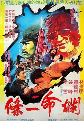 烂命一条 - 剧情片 (1980) 海报