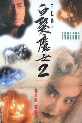 白发魔女2 - 动作片 (1993) 海报