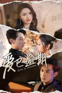 爱已逾期 - 现代都市 (2025) 海报