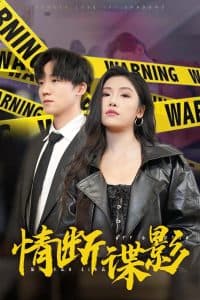 情断谍影我的特工老婆 - 女频恋爱 (2025) 海报