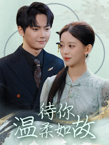 待你温柔如故 - 女频恋爱 (2025) 海报