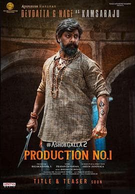 家族命运之战 - 动作片 (2024) 海报