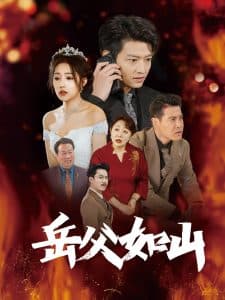 岳父如山 - 现代都市 (2025) 海报