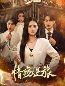 情殇逆旅 - 女频恋爱 (2025) 海报