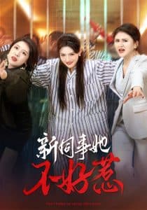 新同事她不好惹 - 现代都市 (2025) 海报