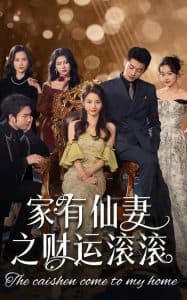 家有仙妻之财运滚滚 - 女频恋爱 (2025) 海报