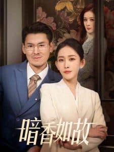 暗香如故 - 女频恋爱 (2025) 海报