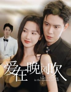 爱在晚风吹 - 女频恋爱 (2025) 海报
