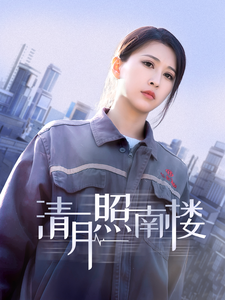 清月照南楼 - 现代都市 (2025) 海报