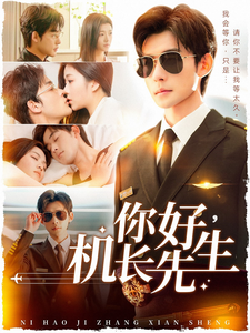 你好机长先生 - 女频恋爱 (2025) 海报