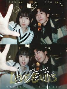 当我不爱你后 - 现代都市 (2025) 海报