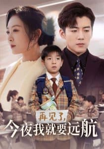 再见了今夜我就要远航 - 现代都市 (2025) 海报