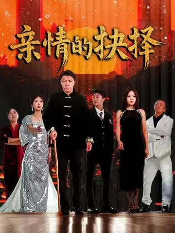 亲情的抉择 - 现代都市 (2025) 海报