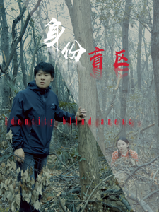 身份盲区 - 现代都市 (2025) 海报