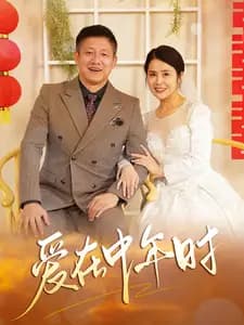 爱在中年时 - 现代都市 (2025) 海报