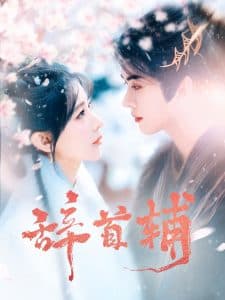 辞首辅 - 古装仙侠 (2025) 海报