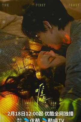 难哄2025 - 国产剧 (2025) 海报