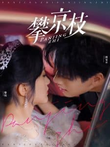 攀京枝80集 - 女频恋爱 (2025) 海报