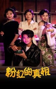 粉红的真相 - 现代都市 (2025) 海报