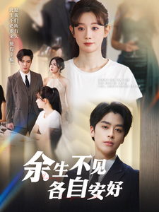 余生不见各自安好 - 现代都市 (2025) 海报