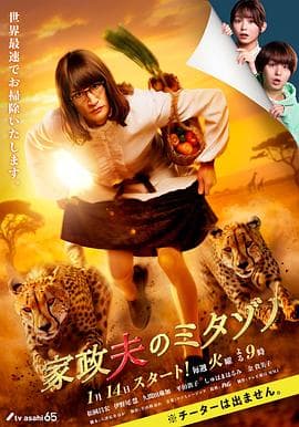 家政夫三田园7 - 日剧 (2025) 海报