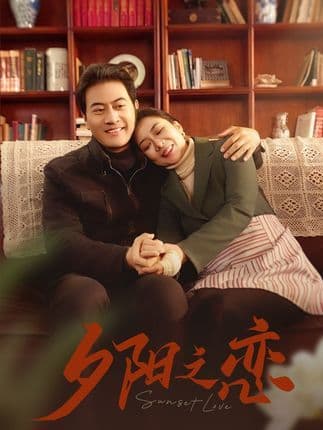 晚风知我意 - 现代都市 (2025) 海报