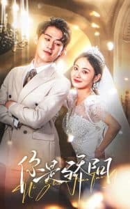 你是骄阳 - 女频恋爱 (2025) 海报