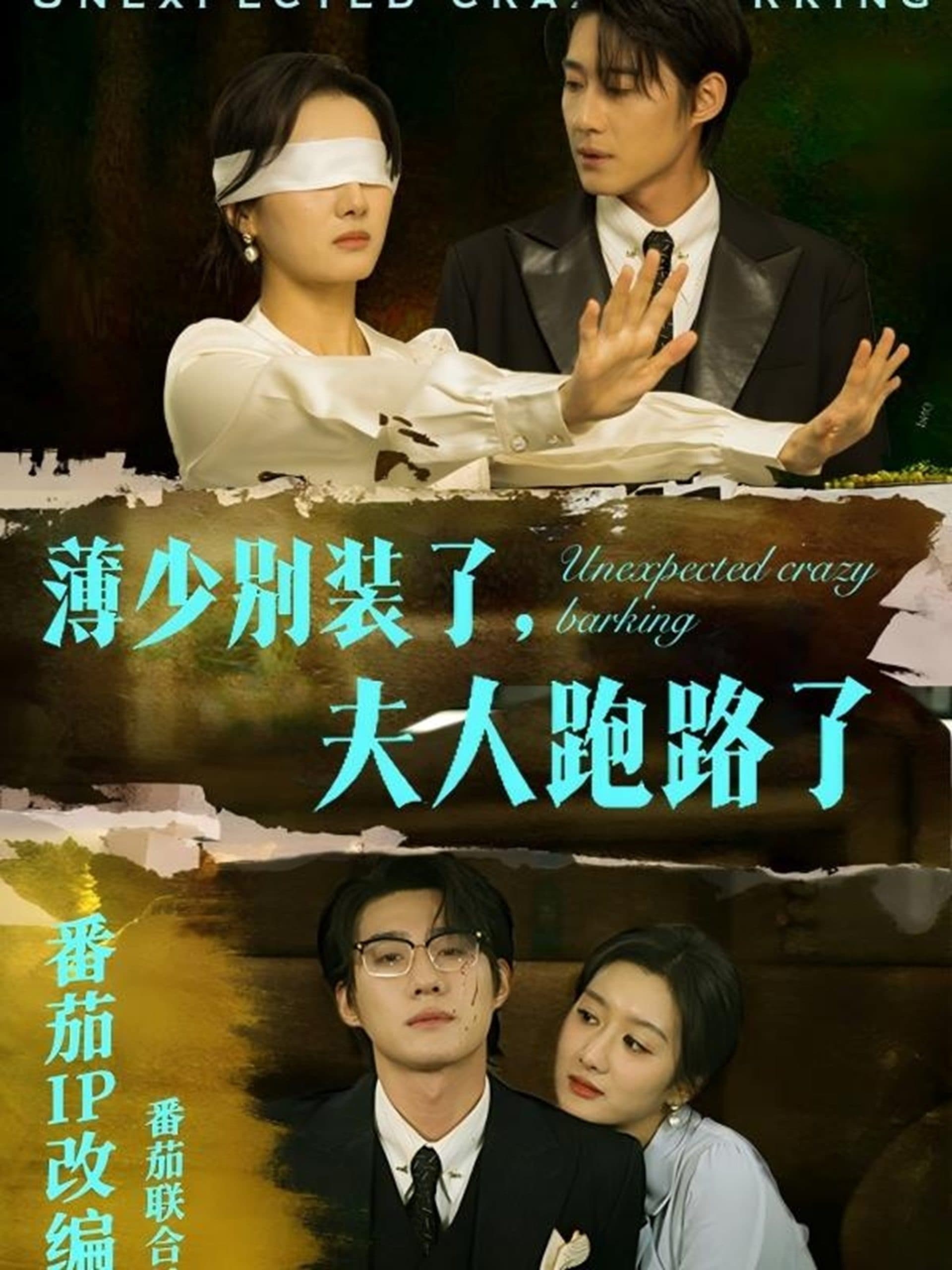 薄少别装了夫人跑路了 - 女频恋爱 (2025) 海报