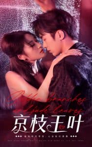 京枝玉叶 - 女频恋爱 (2025) 海报