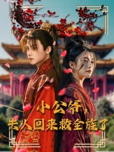 小公爷夫人回来救全族了 - 古装仙侠 (2025) 海报