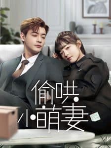 偷哄小萌妻 - 女频恋爱 (2025) 海报