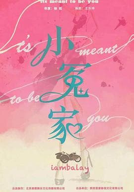 我的媳妇不好惹 - 国产剧 (2025) 海报