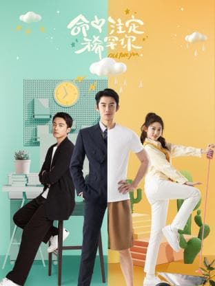 命中注定稀罕你 - 国产剧 (2025) 海报