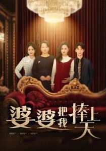 婆婆把我捧上天 - 现代都市 (2025) 海报