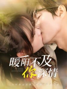 暖阳不及你深情 - 女频恋爱 (2025) 海报