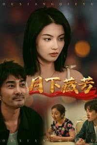 月下藏芳 - 现代都市 (2025) 海报