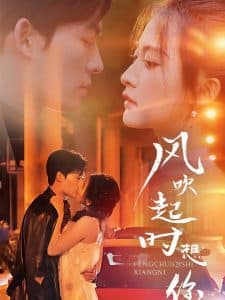 风吹起时想你 - 女频恋爱 (2025) 海报