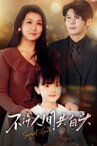 不许人间共白头 - 女频恋爱 (2025) 海报